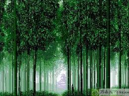 竹海国家森林公园