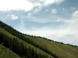寿鹿山自然保护区