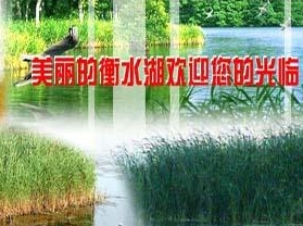 河北衡水湖国家级自然保护区