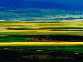 鄂尔多斯大草原