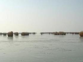 沙湖自然保护区